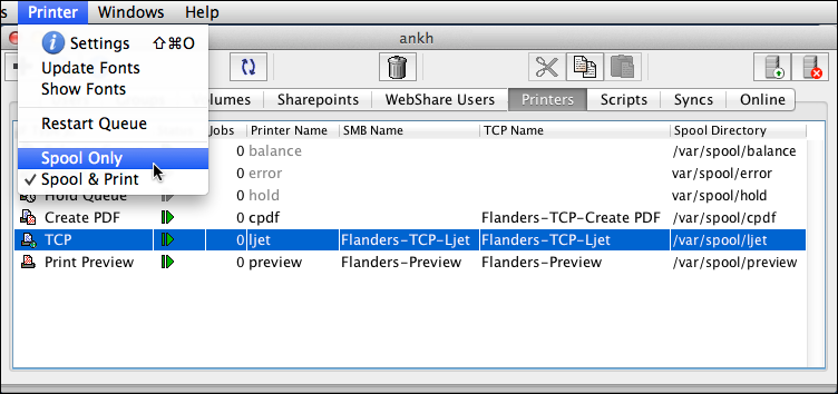 Choosing <code>Spool only</code>