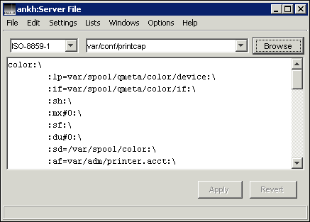 “Server File” text editor window