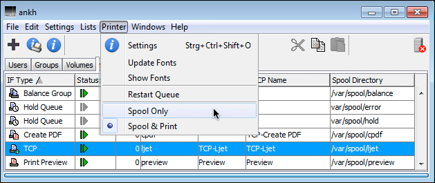 Choosing <code>Spool only</code>