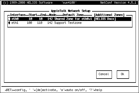 Beispiel einer fertigen Netzwerkadapter-Konfiguration