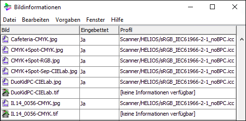 Fenster „Bildinformationen“