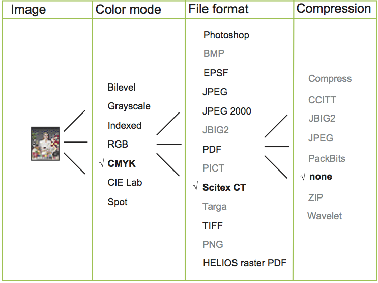 The characteristics that define a given image file