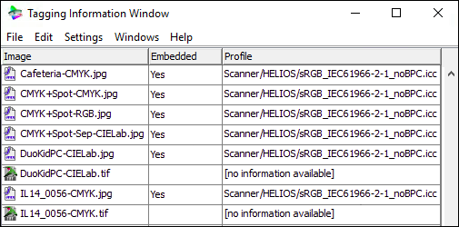 “Tagging Information Window”