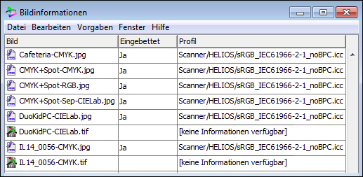 Fenster „Bildinformationen“