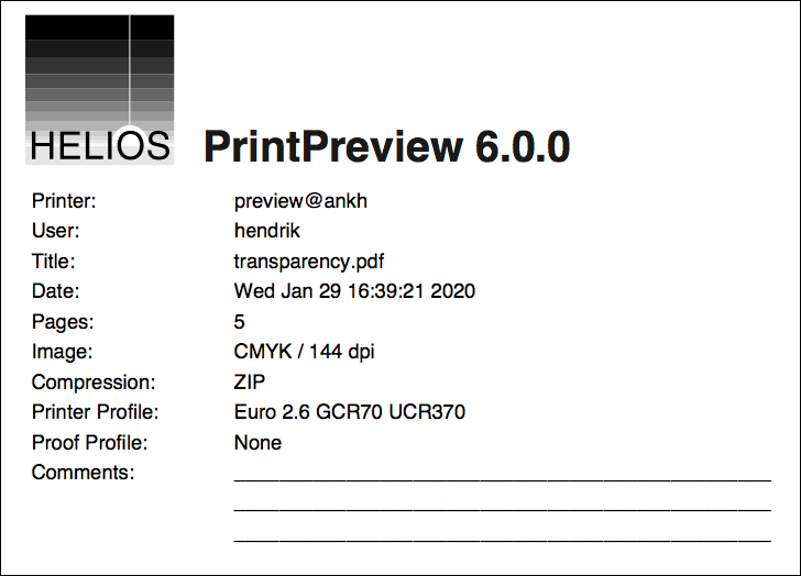 “Print Preview” connection info page