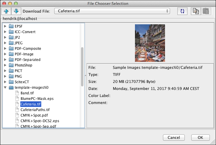 Selecting the file “Cafeteria.tif” for download